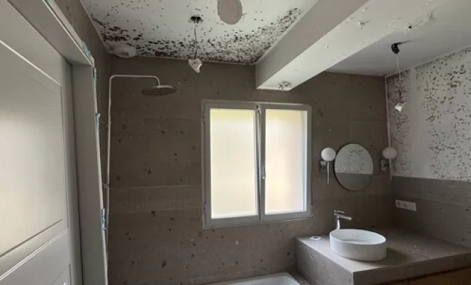 Remise en état suite à un dégât des eaux à Porto-Vecchio, Porto-Vecchio, Inside Casa